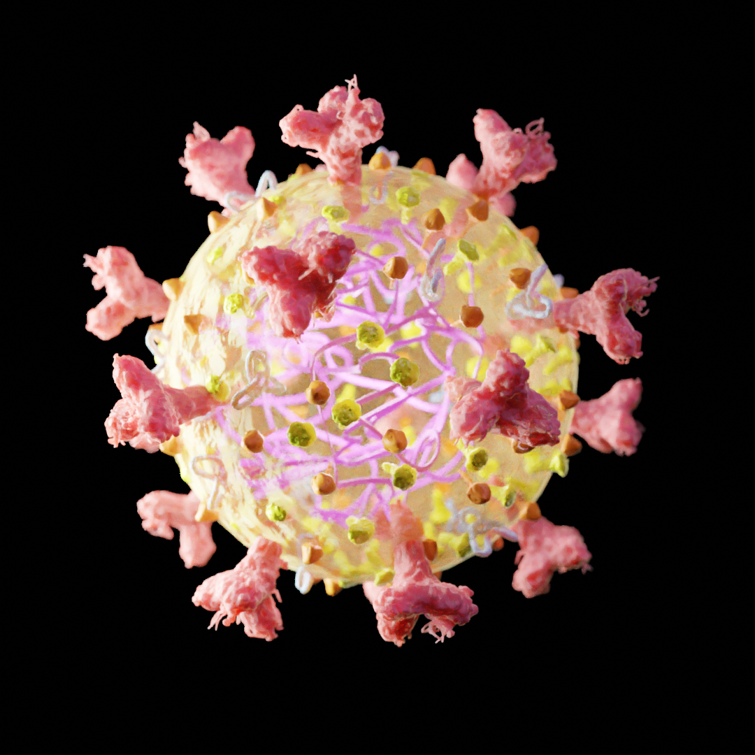 Coronavirus SARS-Co-V2 preview image 2